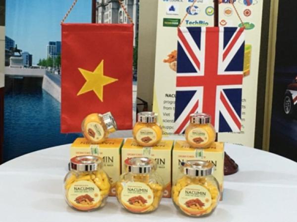 Các nhà khoa học Anh - Việt hợp tác nghiên cứu về củ nghệ vàng